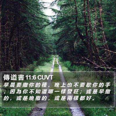 傳 道 書 11:6 CUVT Bible Verse Image