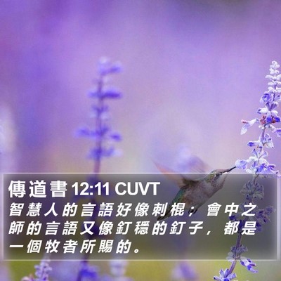 傳 道 書 12:11 CUVT Bible Verse Image