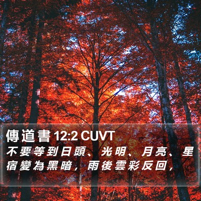 傳 道 書 12:2 CUVT Bible Verse Image