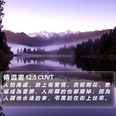 傳 道 書 12:5 CUVT Bible Verse Image