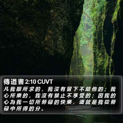 傳 道 書 2:10 CUVT Bible Verse Image