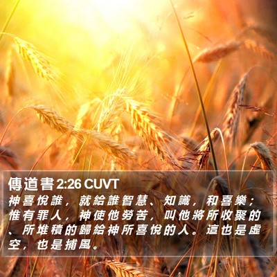 傳 道 書 2:26 CUVT Bible Verse Image