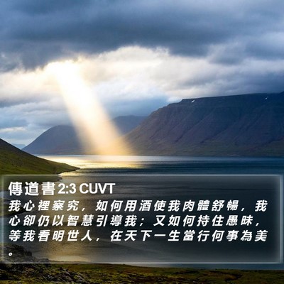傳 道 書 2:3 CUVT Bible Verse Image