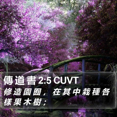 傳 道 書 2:5 CUVT Bible Verse Image