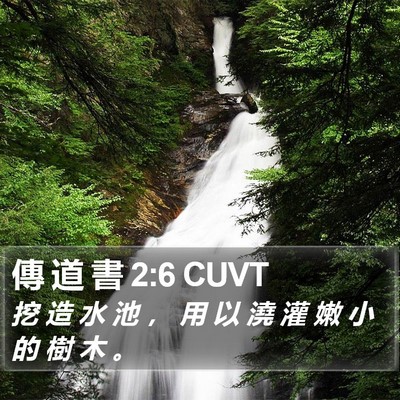 傳 道 書 2:6 CUVT Bible Verse Image
