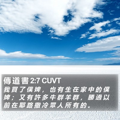 傳 道 書 2:7 CUVT Bible Verse Image