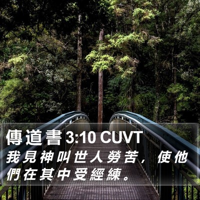 傳 道 書 3:10 CUVT Bible Verse Image
