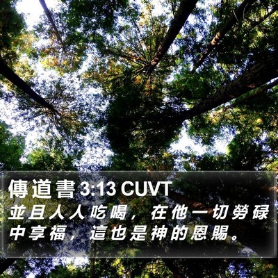 傳 道 書 3:13 CUVT Bible Verse Image
