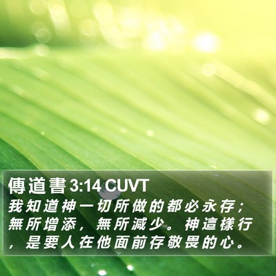 傳 道 書 3:14 CUVT Bible Verse Image