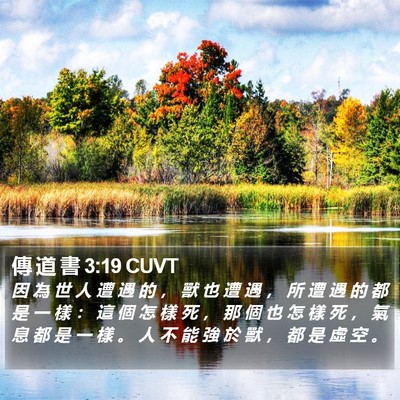 傳 道 書 3:19 CUVT Bible Verse Image