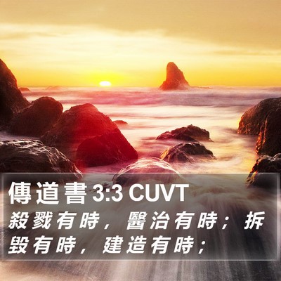 傳 道 書 3:3 CUVT Bible Verse Image