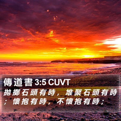 傳 道 書 3:5 CUVT Bible Verse Image