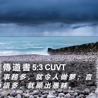 傳 道 書 5:3 CUVT Bible Verse Image