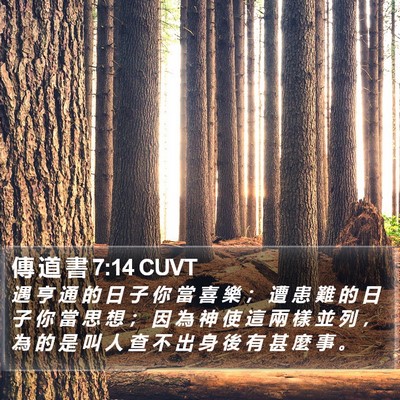 傳 道 書 7:14 CUVT Bible Verse Image