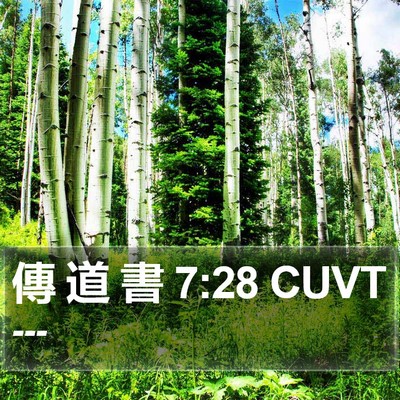 傳 道 書 7:28 CUVT Bible Verse Image