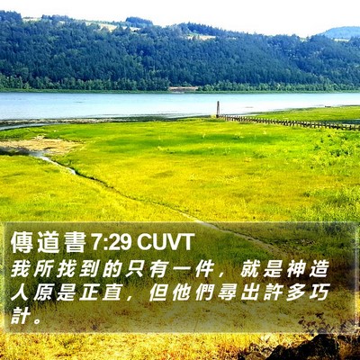 傳 道 書 7:29 CUVT Bible Verse Image