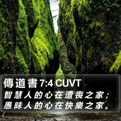 傳 道 書 7:4 CUVT Bible Verse Image