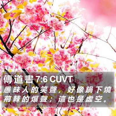 傳 道 書 7:6 CUVT Bible Verse Image