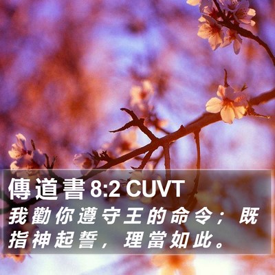 傳 道 書 8:2 CUVT Bible Verse Image