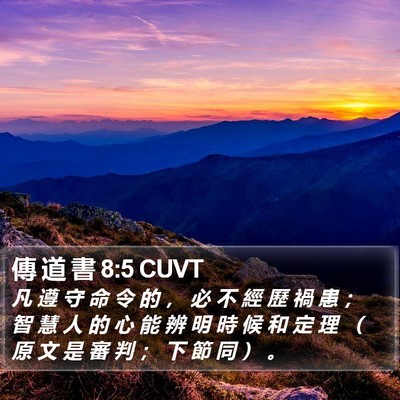 傳 道 書 8:5 CUVT Bible Verse Image