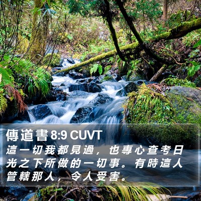 傳 道 書 8:9 CUVT Bible Verse Image