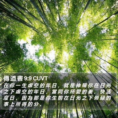 傳 道 書 9:9 CUVT Bible Verse Image