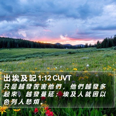 出 埃 及 記 1:12 CUVT Bible Verse Image