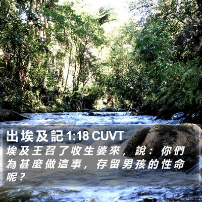出 埃 及 記 1:18 CUVT Bible Verse Image