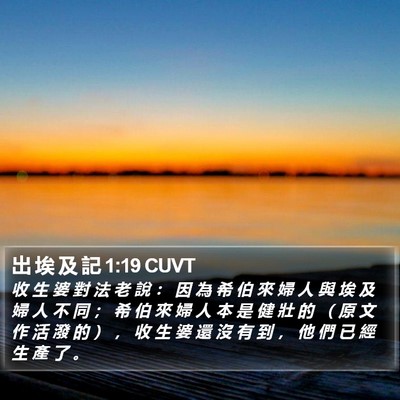 出 埃 及 記 1:19 CUVT Bible Verse Image