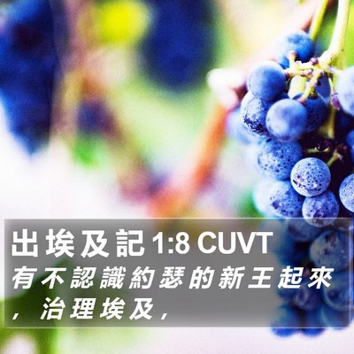 出 埃 及 記 1:8 CUVT Bible Verse Image