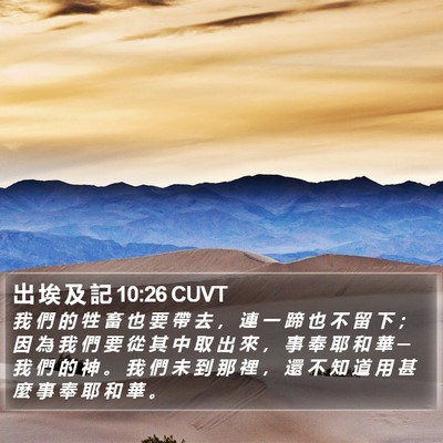 出 埃 及 記 10:26 CUVT Bible Verse Image