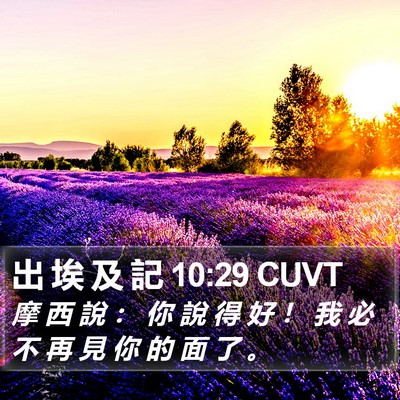 出 埃 及 記 10:29 CUVT Bible Verse Image