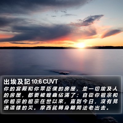 出 埃 及 記 10:6 CUVT Bible Verse Image
