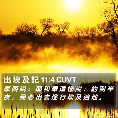 出 埃 及 記 11:4 CUVT Bible Verse Image