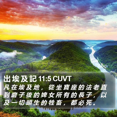 出 埃 及 記 11:5 CUVT Bible Verse Image