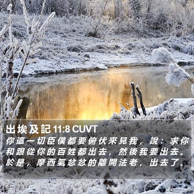 出 埃 及 記 11:8 CUVT Bible Verse Image