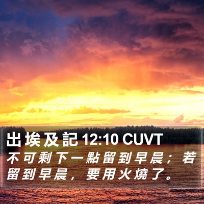 出 埃 及 記 12:10 CUVT Bible Verse Image