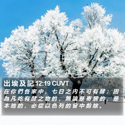 出 埃 及 記 12:19 CUVT Bible Verse Image