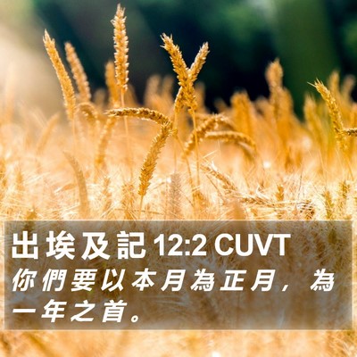 出 埃 及 記 12:2 CUVT Bible Verse Image