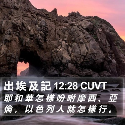 出 埃 及 記 12:28 CUVT Bible Verse Image