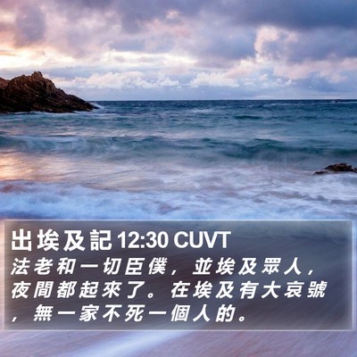 出 埃 及 記 12:30 CUVT Bible Verse Image