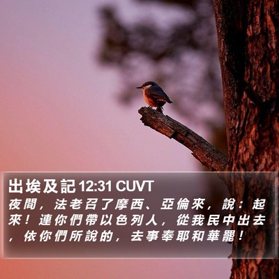出 埃 及 記 12:31 CUVT Bible Verse Image