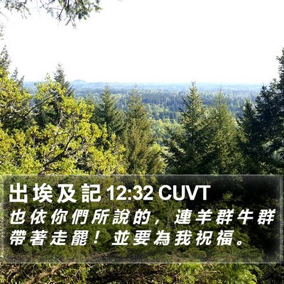 出 埃 及 記 12:32 CUVT Bible Verse Image
