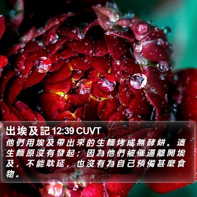 出 埃 及 記 12:39 CUVT Bible Verse Image