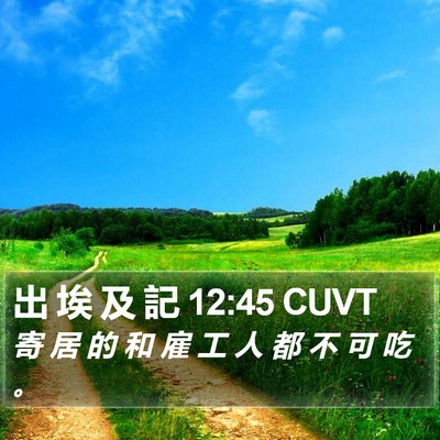 出 埃 及 記 12:45 CUVT Bible Verse Image