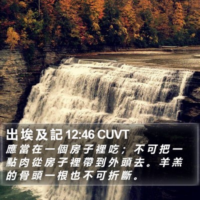 出 埃 及 記 12:46 CUVT Bible Verse Image