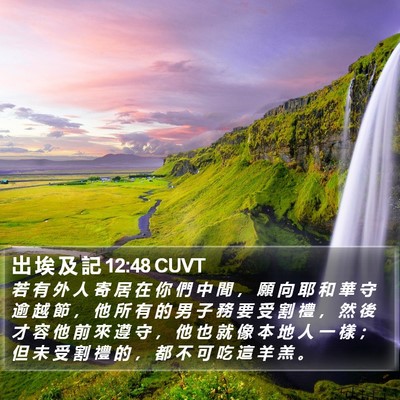 出 埃 及 記 12:48 CUVT Bible Verse Image