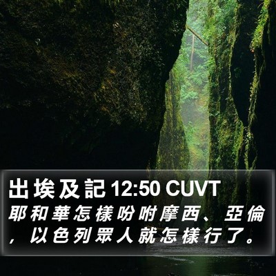 出 埃 及 記 12:50 CUVT Bible Verse Image