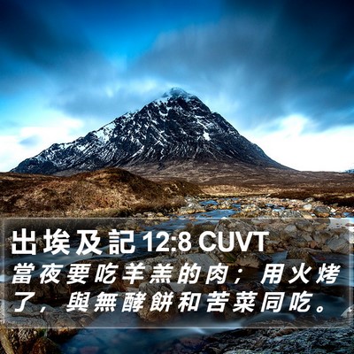 出 埃 及 記 12:8 CUVT Bible Verse Image