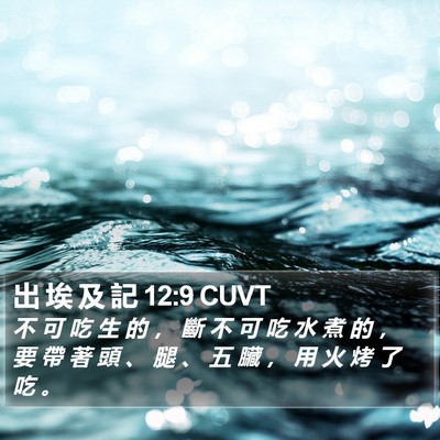 出 埃 及 記 12:9 CUVT Bible Verse Image